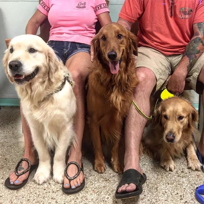 Images Palms West Veterinary Hospital - General Practice Urgent Care