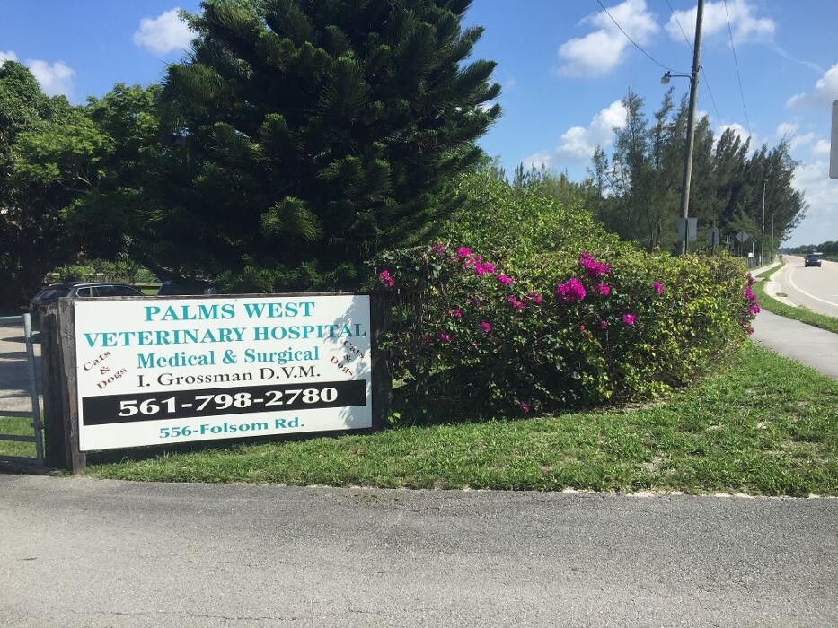 Images Palms West Veterinary Hospital - General Practice Urgent Care