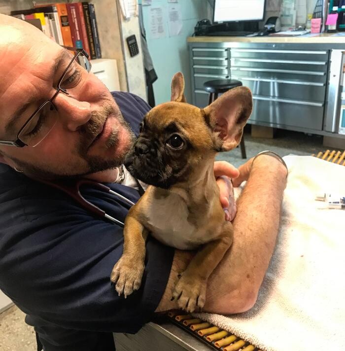 Images Palms West Veterinary Hospital - General Practice Urgent Care