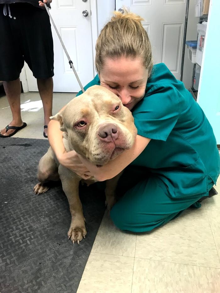 Images Palms West Veterinary Hospital - General Practice Urgent Care