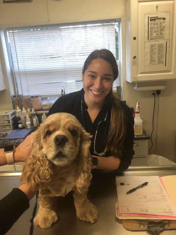 Images Palms West Veterinary Hospital - General Practice Urgent Care