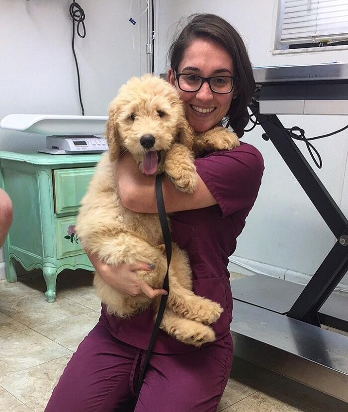 Images Palms West Veterinary Hospital - General Practice Urgent Care