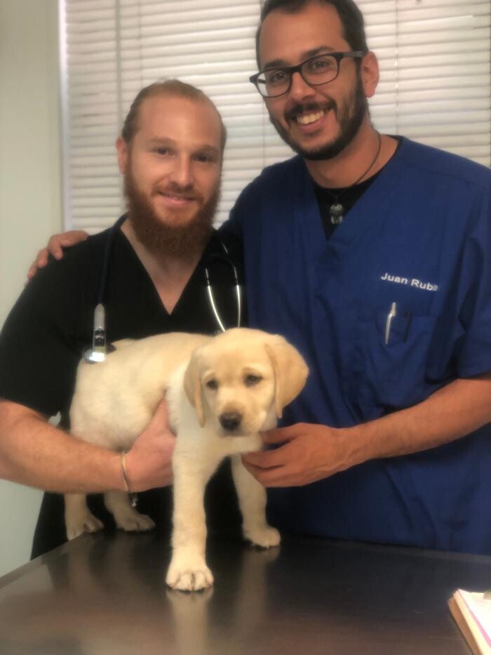Images Palms West Veterinary Hospital - General Practice Urgent Care