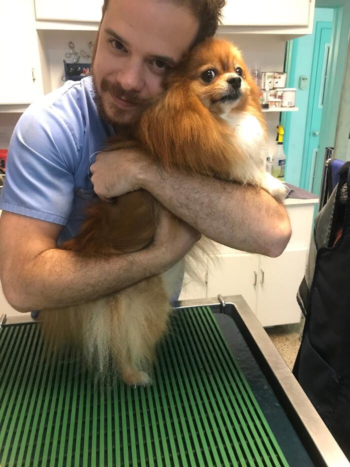 Images Palms West Veterinary Hospital - General Practice Urgent Care