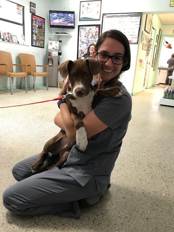 Images Palms West Veterinary Hospital - General Practice Urgent Care
