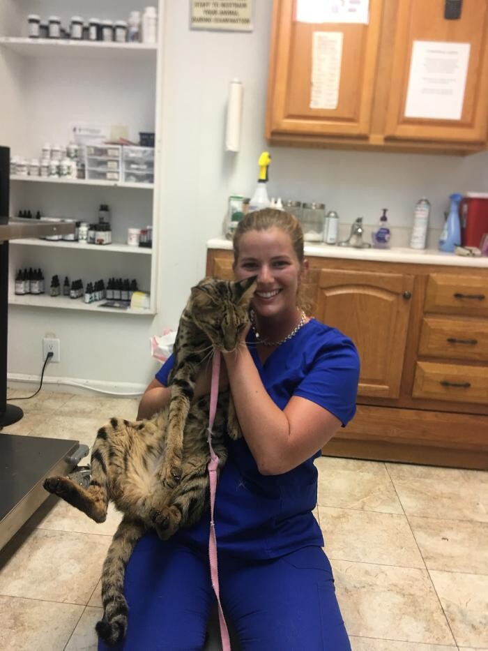 Images Palms West Veterinary Hospital - General Practice Urgent Care