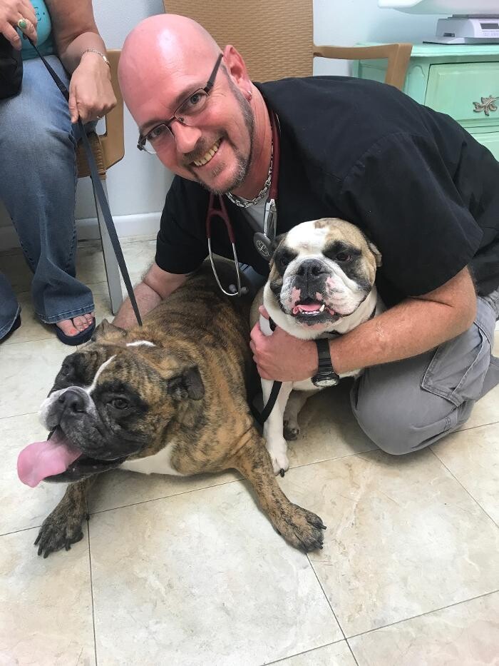 Images Palms West Veterinary Hospital - General Practice Urgent Care