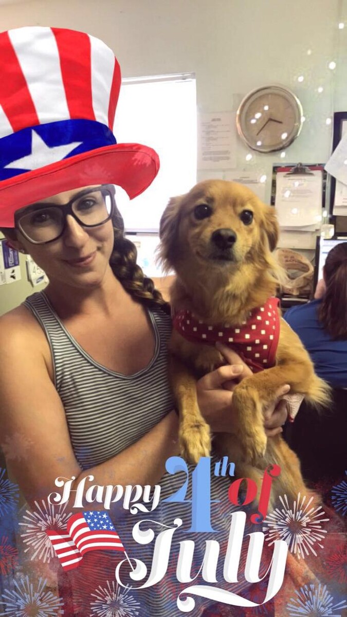 Images Palms West Veterinary Hospital - General Practice Urgent Care