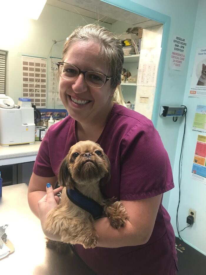 Images Palms West Veterinary Hospital - General Practice Urgent Care