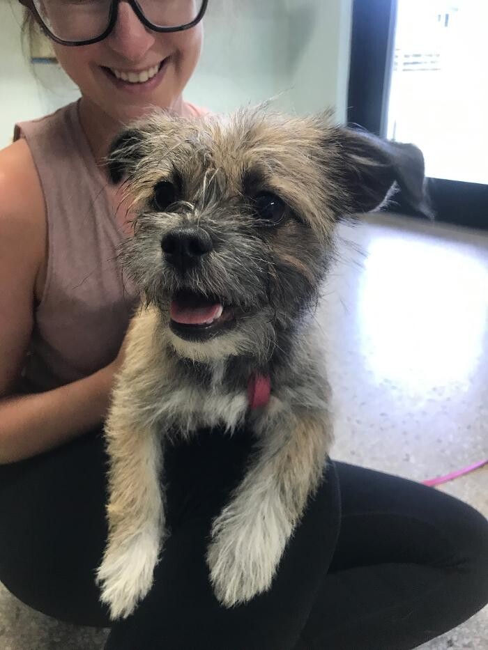Images Palms West Veterinary Hospital - General Practice Urgent Care