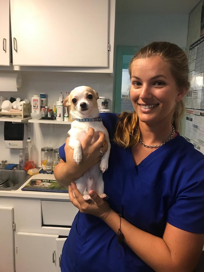 Images Palms West Veterinary Hospital - General Practice Urgent Care