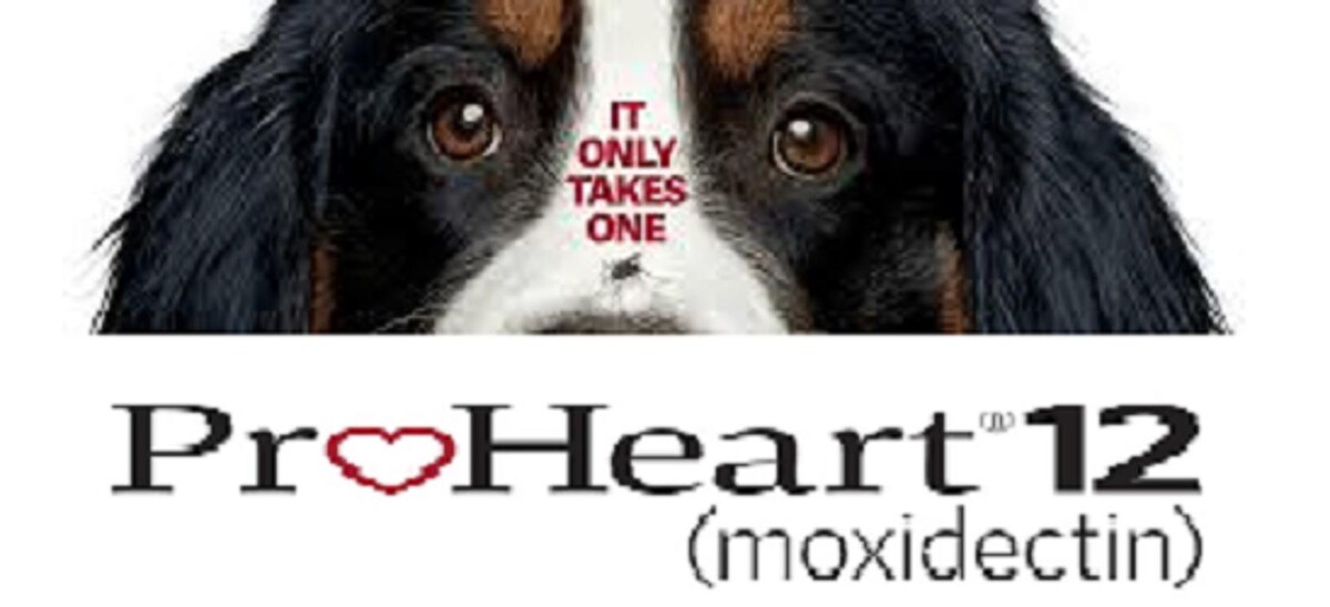 Images Green Oaks North Pet Hospital