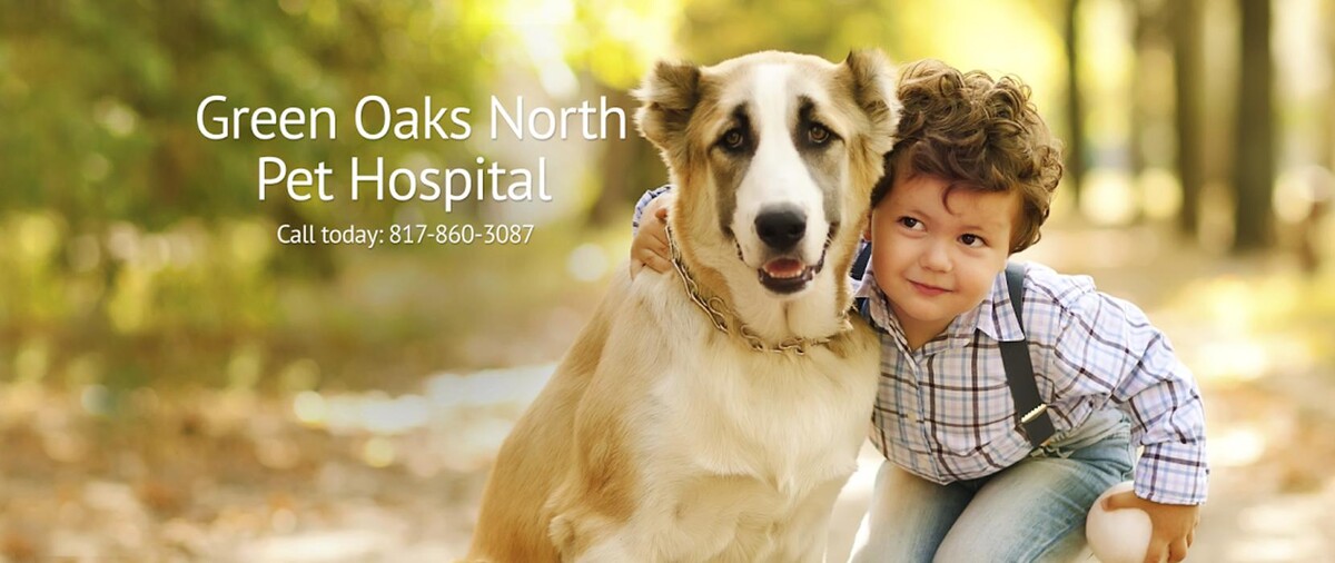 Images Green Oaks North Pet Hospital