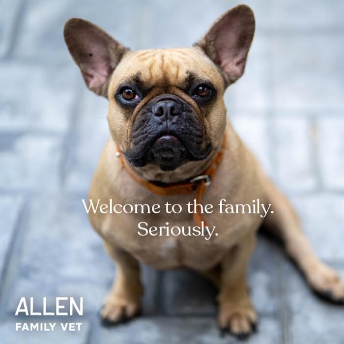 Images Allen Family Vet