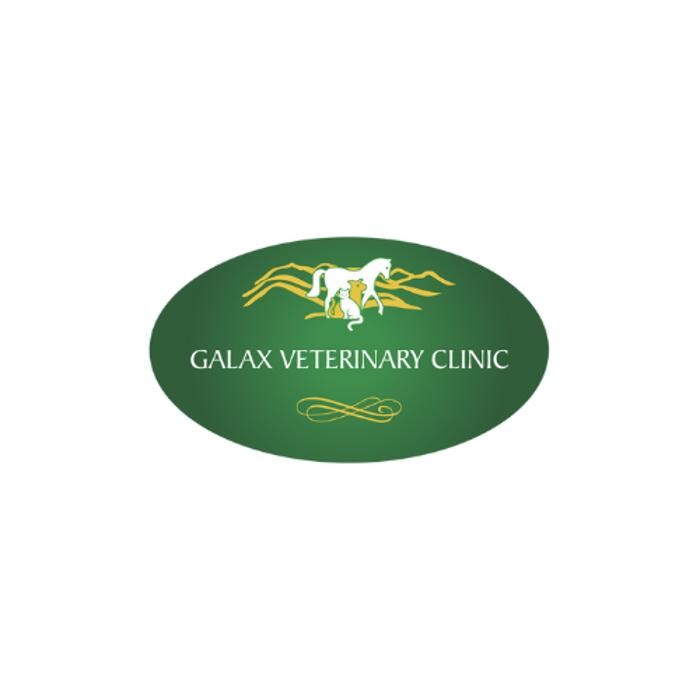 Galax Veterinary Clinic Logo