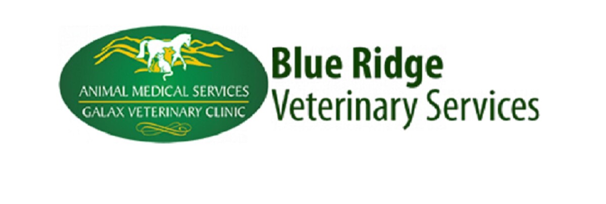 Images Galax Veterinary Clinic