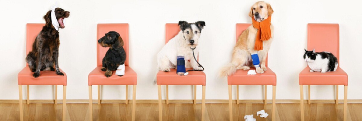 Images Omro Animal Hospital