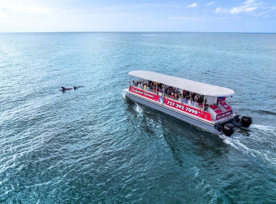 Images Dolphin Quest Eco Tours