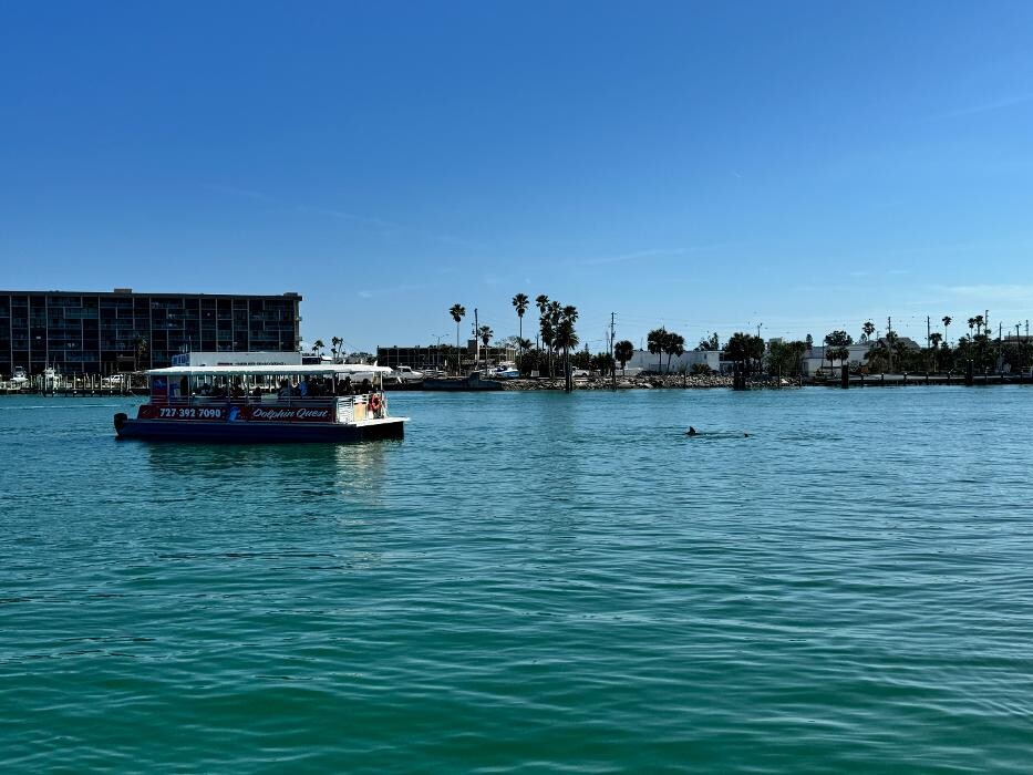 Images Dolphin Quest Eco Tours