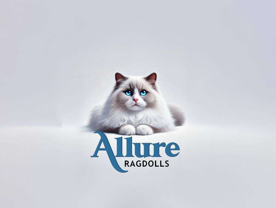 Allure Ragdolls Logo