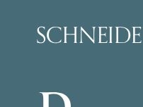 Website Screenshot Schneider Law Office