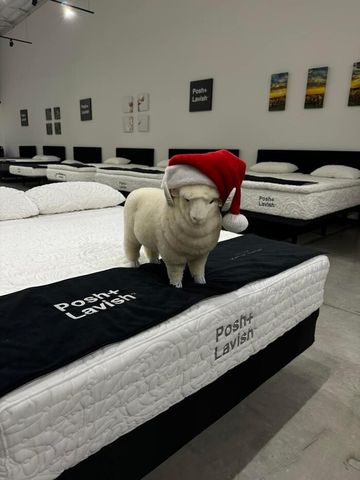 Images All American Mattress LLC