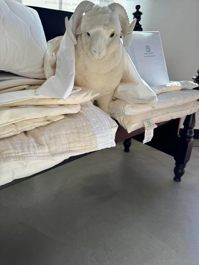 Images All American Mattress LLC