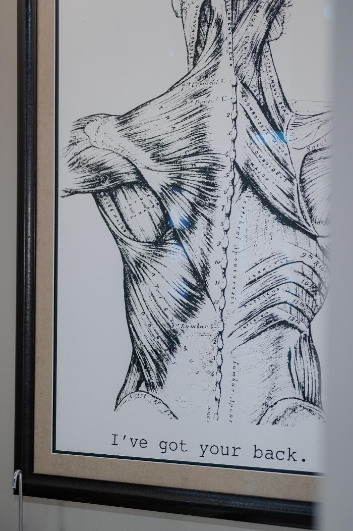 Images Rebel Chiropractic