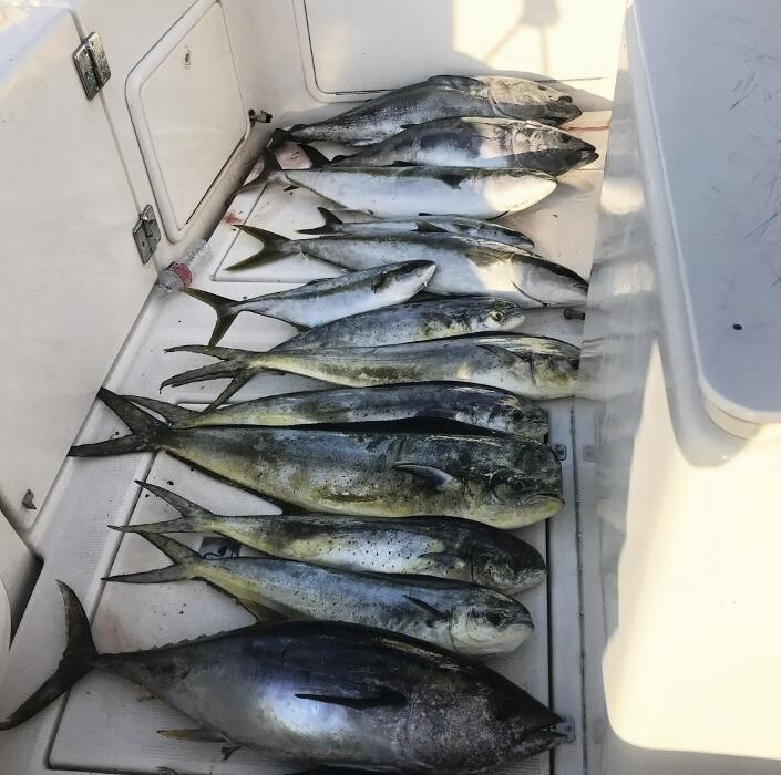 Images Nico's Fish Market