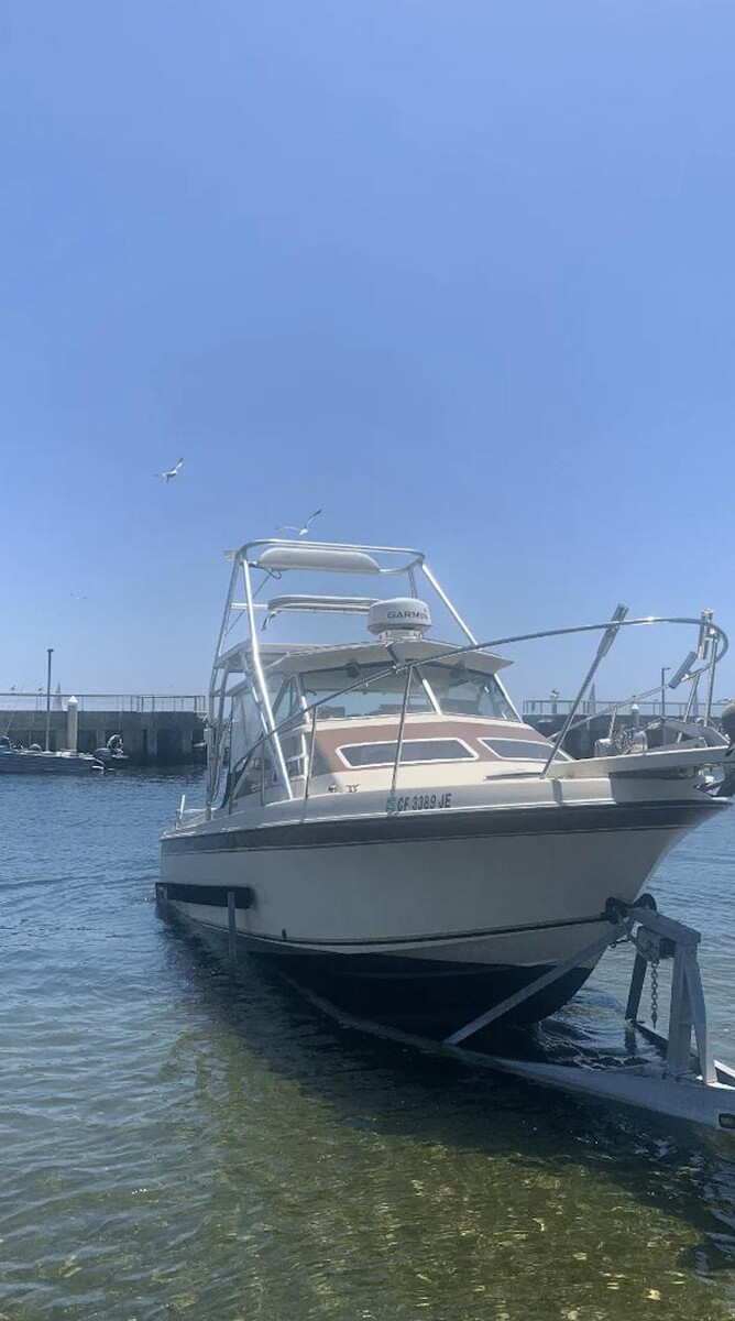 Images Nico's Fish Market