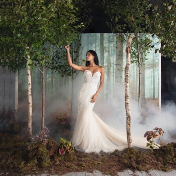 Images Panache Bridals