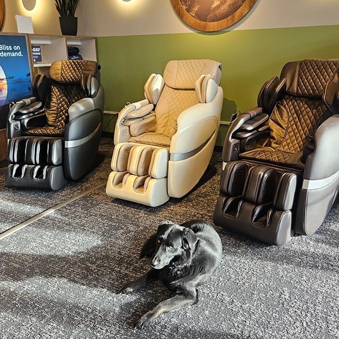 Images Furniture For Life - Massage Chairs