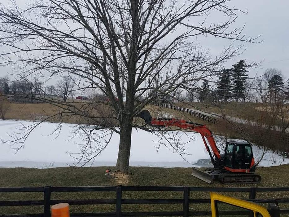 Images Rocky Top Services - Demolition and Land Clearing