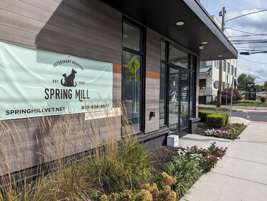 Images Spring Mill Veterinary Hospital