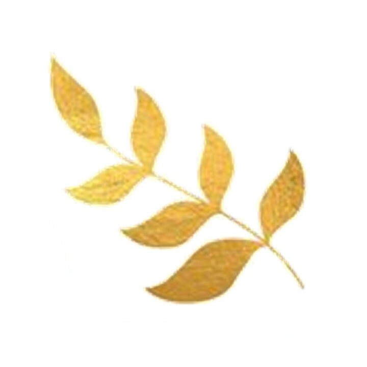 Creating Changes Counseling Logo