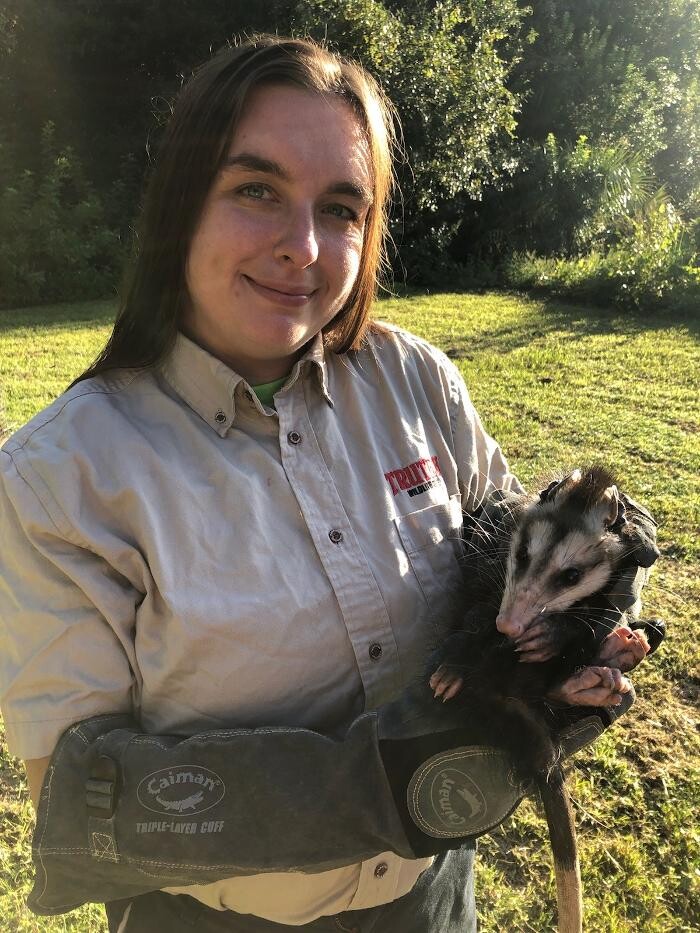 Images Trutech Wildlife Service