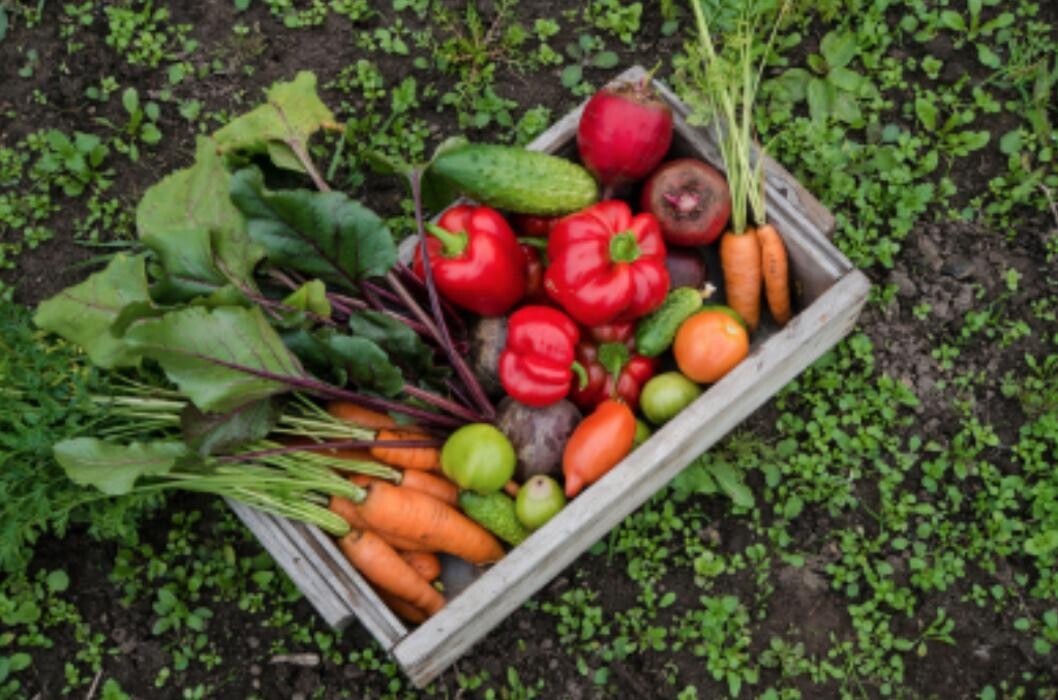 Images Home Grown Farm and Ranch