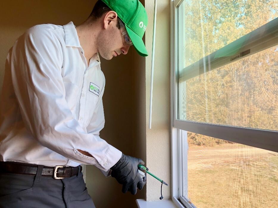 Images Natura Pest Control (formerly EcoSense Pest Control)