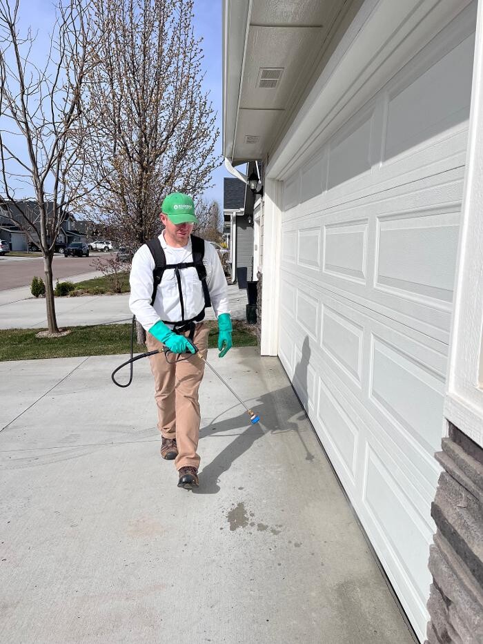 Images Natura Pest Control (formerly EcoSense Pest Control)