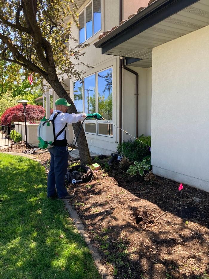 Images Natura Pest Control (formerly EcoSense Pest Control)