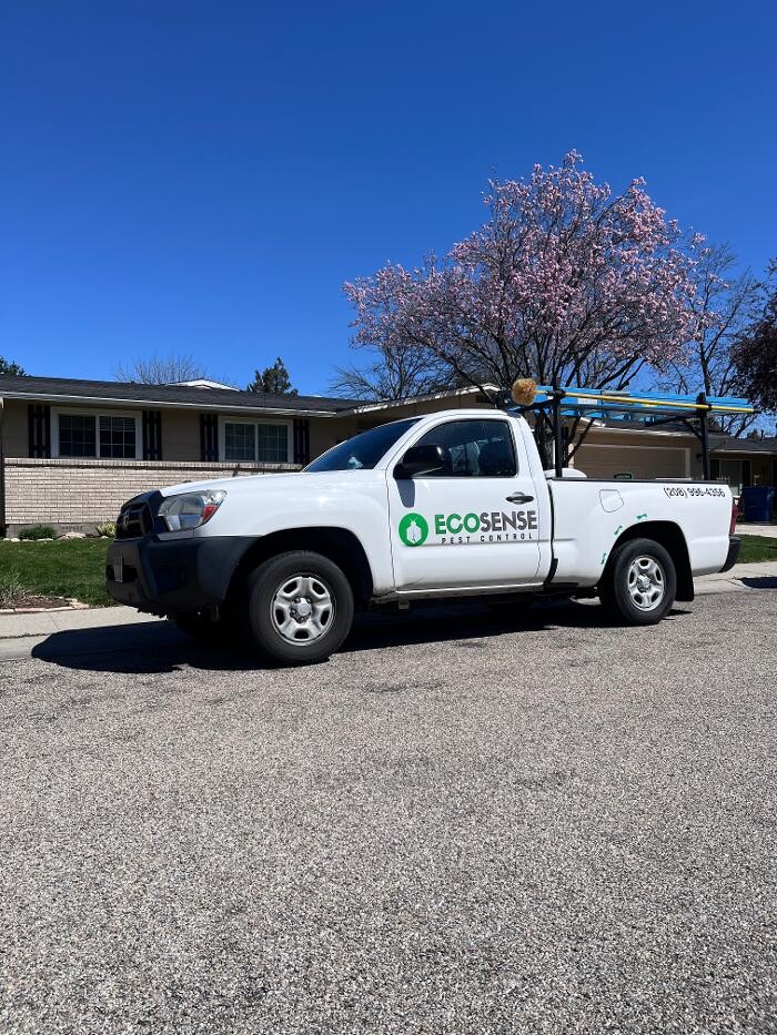 Images Natura Pest Control (formerly EcoSense Pest Control)