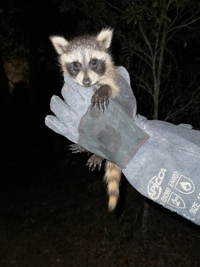 Images Trutech Wildlife Service