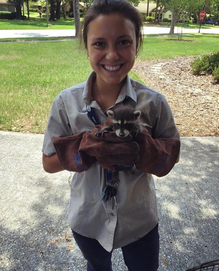 Images Trutech Wildlife Service