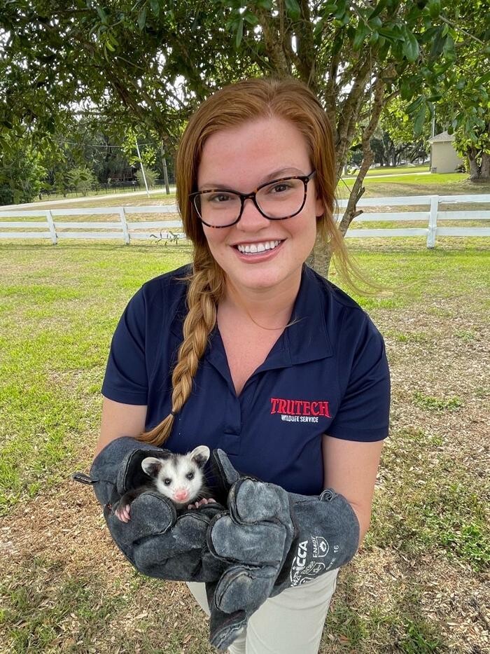 Images Trutech Wildlife Service