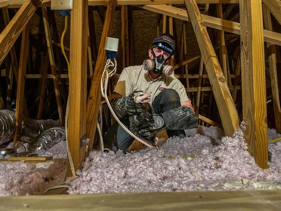 Images Trutech Wildlife Service