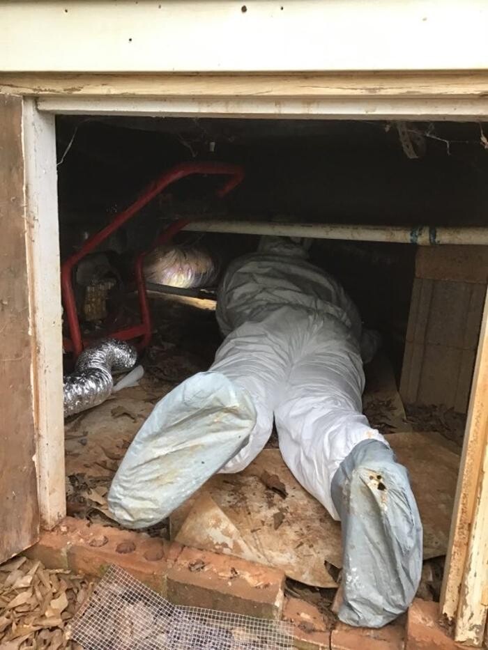 Images Critter Control of Athens