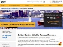 Website Screenshot Critter Control of New Bedford