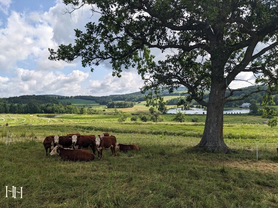 Images HazelHuts LLC