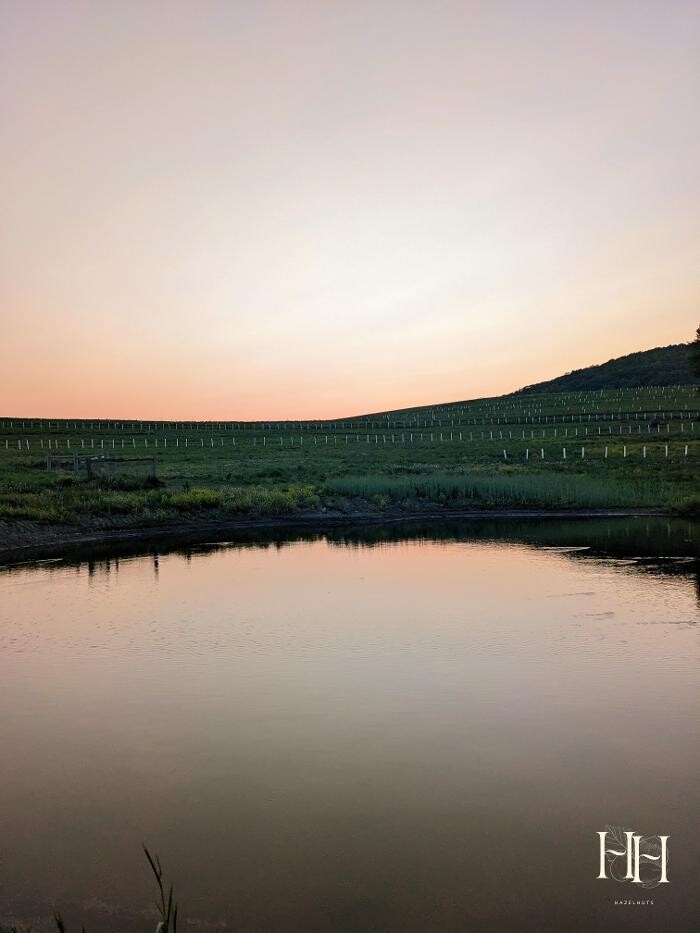 Images HazelHuts LLC