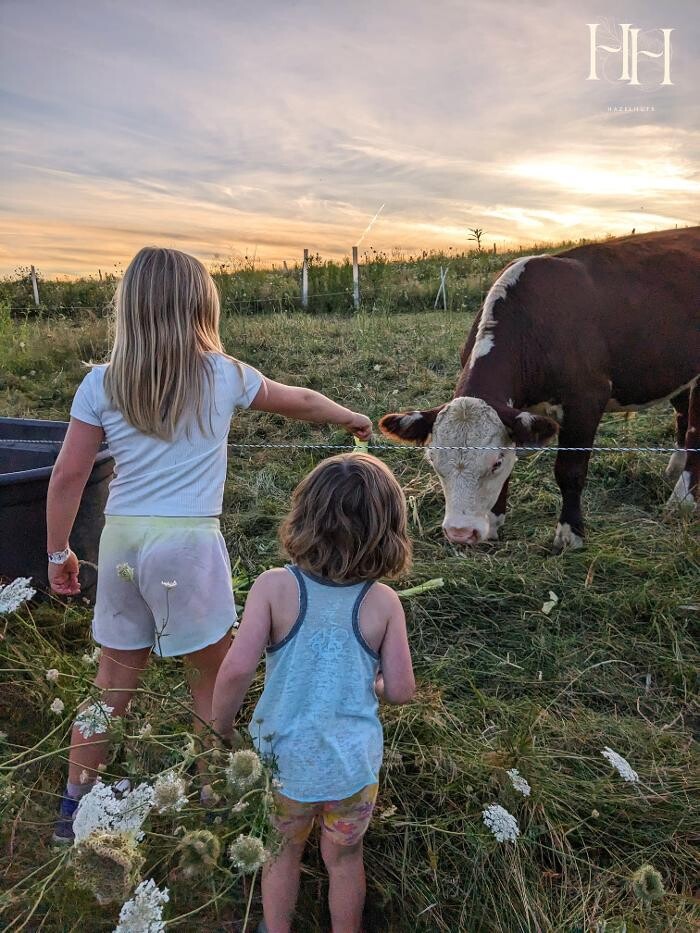 Images HazelHuts LLC